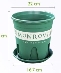 Chậu Nhựa Monrovia 2 Gallon Màu Xanh Tự Nhiên