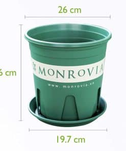 Chậu Nhựa Monrovia 4 Gallon Màu Xanh Tự Nhiên