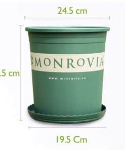 Chậu Nhựa Monrovia 3 Gallon Màu Xanh O-series