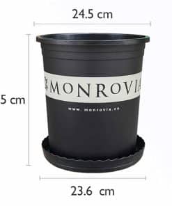 Chậu Nhựa Monrovia 3 Gallon Màu Đen O-series