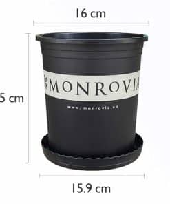 Chậu Nhựa Monrovia 1 Gallon Màu Đen O-series