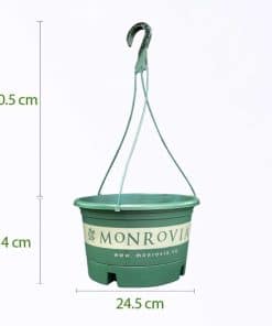 Chậu Nhựa Treo Monrovia Size L Màu Xanh