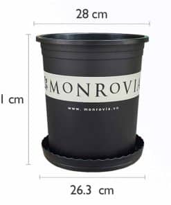 Chậu Nhựa Monrovia 5 Gallon Màu Đen O-series