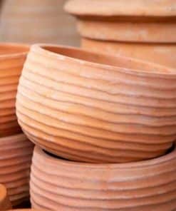 Chậu Cây & Phụ Kiện